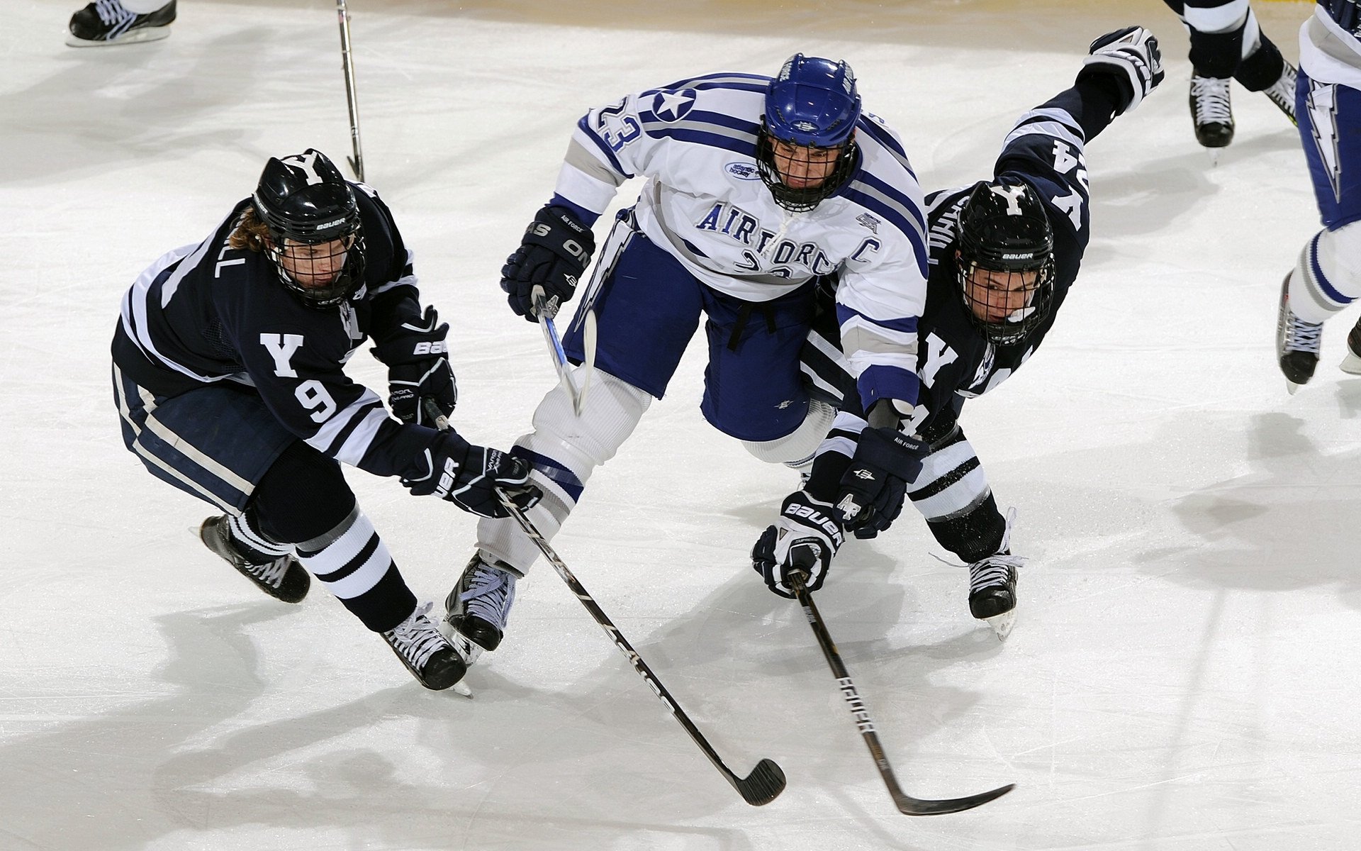 社交平台数据报告显示年轻群体对联赛关注度持续上升，年轻群体占比