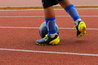 AYX官网-蛙泳对决奥地利游出新速度，奥运会蛙游泳决赛视频